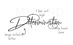 Handwriting strokes show traits of a motivated person.